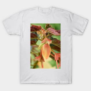 Begonia bud T-Shirt